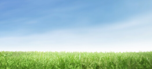 Fototapeta na wymiar Green grass field with blue sky nature landscape background