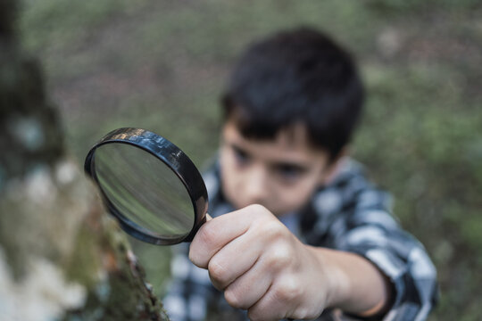 Curious ethnic boy exploring tree trunk with magnifier in woods