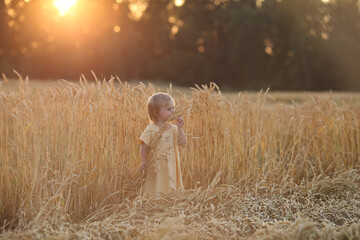 a girl in yellow clothes holds spikelets of wheat in her hands and sniffs them
