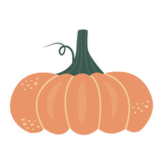 Orange autumn pumpkin in flat style. Fall harvest cartoon vegetable. Hand drawn icon. Symbol of halloween and thanksgiving vector illustration.