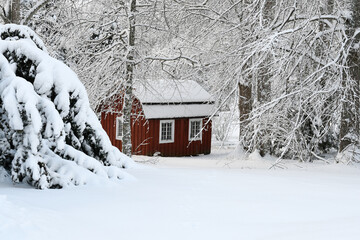 Naklejka premium Playhouse and garden covered with fresh snow