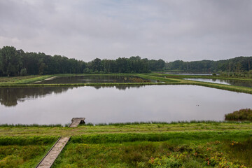 Genk, Belgium - August 11, 2021: Domein Bokrijk. Green landscape with group of artificial square lakes separated by green covered dikes under gray sky. Belt of green forest on horizon. 