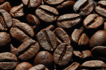 Grãos de café torrados e selecionados em macro visto de cima