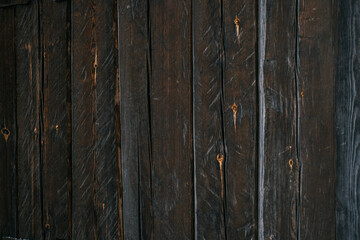 Dark wooden panel background.