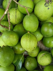 Medicinal and healthy green mangoes