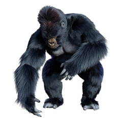 3D Rendering Black Gorilla Ape on White