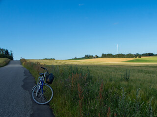 A bike on the road with the shinning wheat field in the background. Cycling in Spring. 