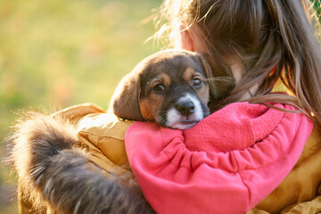 Girl holding cute brown puppy on shoulder. Concept of communication with pet.