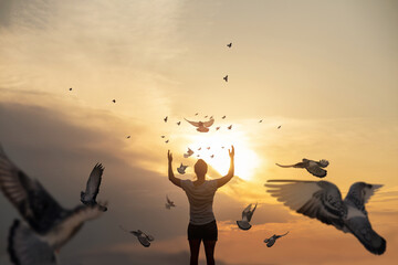 Concept of hope in the form of flying doves on the background of a sunny sunset.