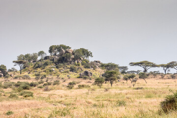 Paysages Africains