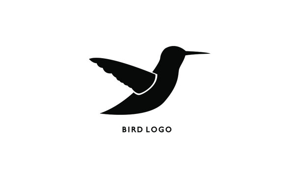illustration of a bird logo