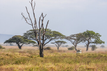 Paysages Africains