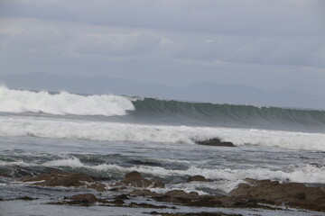 west coast highlands scenery and nature