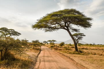 Paysages Africains
