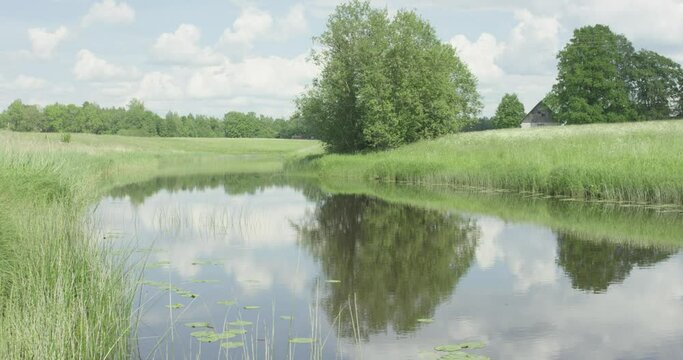 Medium size river flowing through green meadows in a sunny summer day