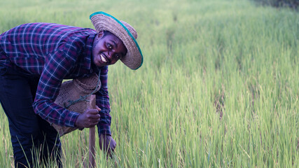 African farmer is happily working on his farm with holding agricultural tools.Agriculture or cultivation concept