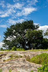 la vue sur la colline de Paouignan Bénin