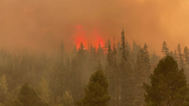Wildfire in California burning in Sierra National Forest 