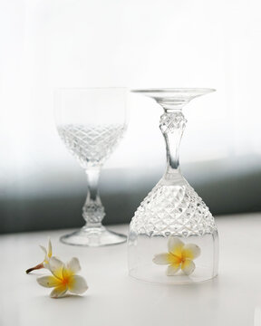 wine glasses on Table