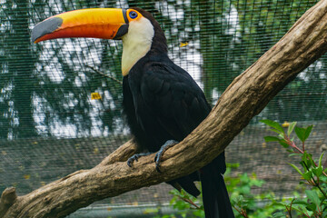 Walsrode Vogelpark © LegusPic