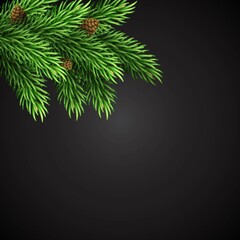 Christmas design, new year fir branches decoration black 
 background. vector illustration