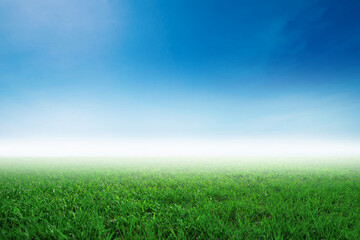 Fototapeta na wymiar Green grass and mist and bright sky at dawn. gives a feeling of openness