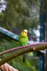 Vogelpark Walsrode