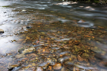 Rapids in a small creek in Northern Michigan