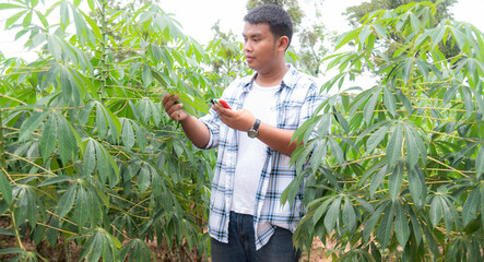 farmer holding corn