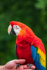 Vogelpark Walsrode