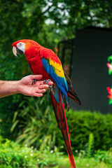 Vogelpark Walsrode