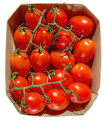Red cherry tomatoes, tomatoes on a green branch in a cardboard box on a white background.