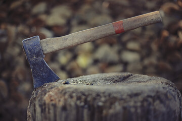 Close up of ax stuck in wood. Old axe ready for chopping log. Autumn scene, preparing for winter. Freshly chopped fire wood in the background