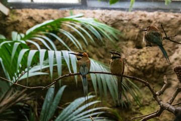 Vogelpark Walsrode