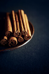 Ceylon Cinnamon Sticks on small ceramic plate. Close-up. Copy space