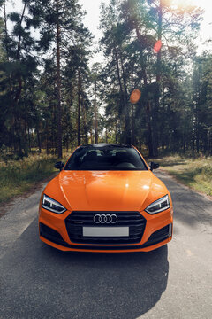 Samara, Russia - 09.05.2020: Orange AUDI A5 S line. A modern sports orange car is parked on a forest road. Travel concept. Pine forest at the sunset