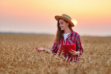 Portrait of cute young happy smiling woman farmer standing alone during walking through a yellow field of dry ripe wheat among golden spikelets at sunset