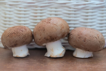 mushrooms