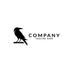 crow logo design. logo template