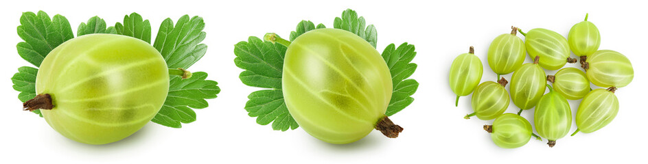 Green gooseberry isolated on white background. Set or collection