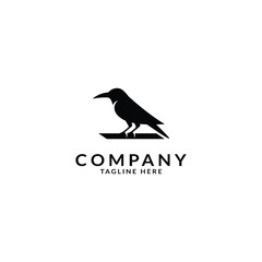 crow logo design. logo template