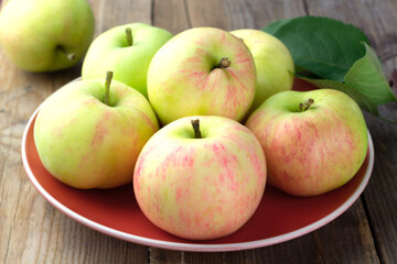 Ripe garden apples on a red plate on wooden background. Selective focus