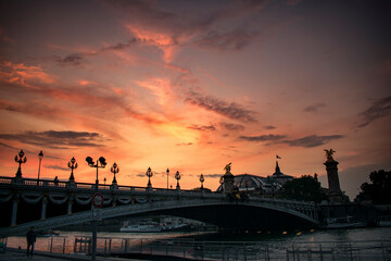 Fototapeta na wymiar Puente sobre el rio senna Paris