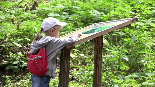 Kid on Camping in Mountains Trails, Child Reading Map in Forest, Little Girl in Excursion, Children Adventure Trip in Camp