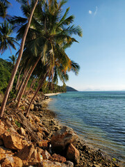 Obraz na płótnie Canvas Resort on a tropical island in the ocean. Palm trees on the beach. Clear water. Dream vacation
