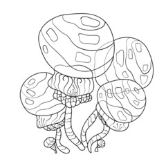 Illustration of a black empty contour of a mushroom on a white background. Magic poisonous mushroom. Mushroom hand drawn engraving. Isolated vector illustrations for coloring