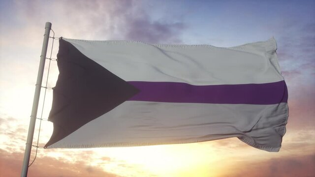 Demisexual pride flag waving in the wind, sky and sun background