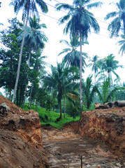 Construction in the jungle forest. Workers are digging a large foundation pit