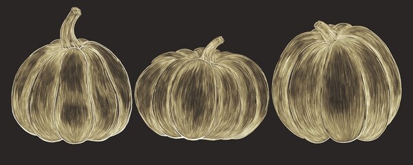 Gold, contour, hatched illustrations of a pumpkin on a black background
