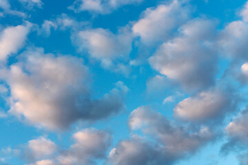 Blue sky with many small cumulus clouds illuminated by the sun as a natural background